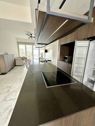 Newton One (D11), Condominium #634215451